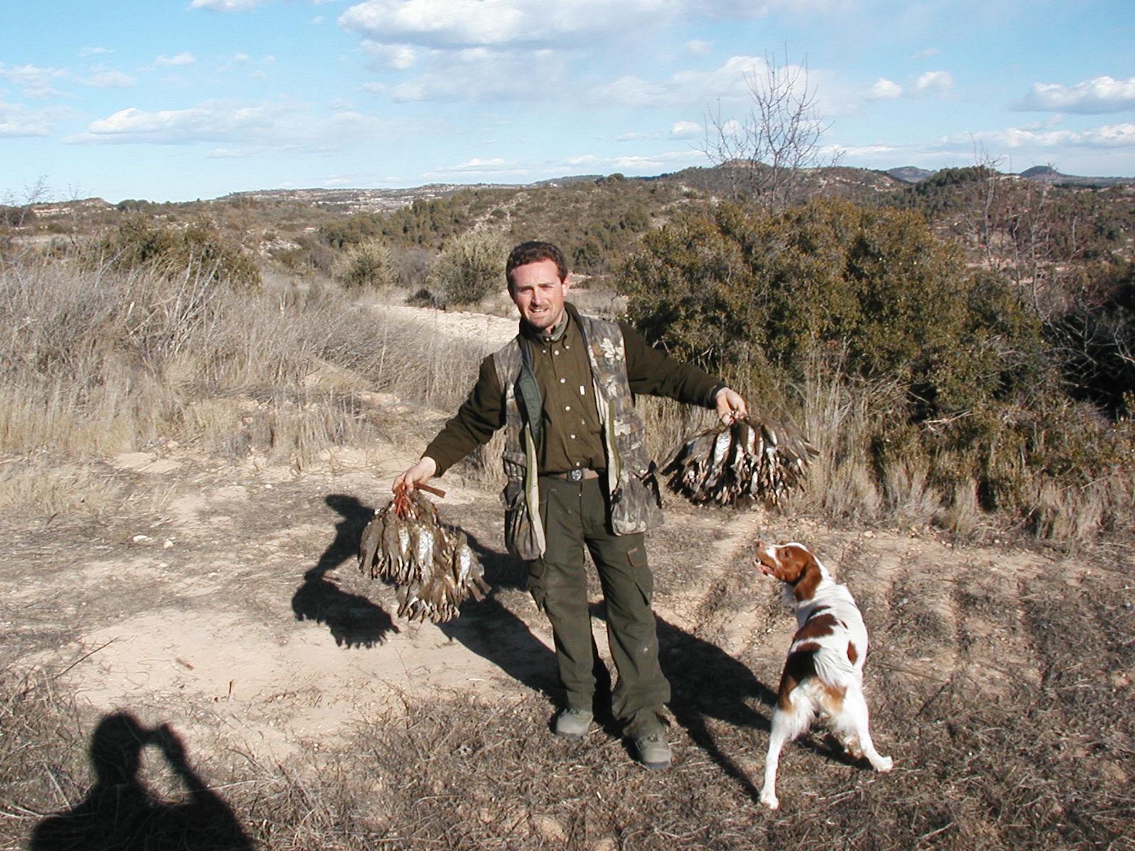 Caza del Tordo en Lleida - Zorzal