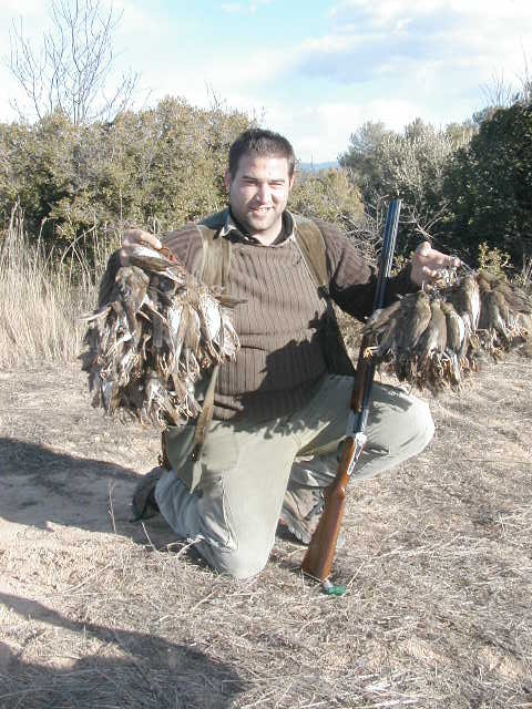 Caza del Tordo en Lleida - Zorzal